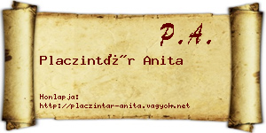 Placzintár Anita névjegykártya